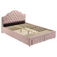 Ashleigh 44-inch Upholstered Full Storage Platform Bed Pink