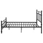 Novak 48-inch Metal Queen Open Frame Bed Matte Black