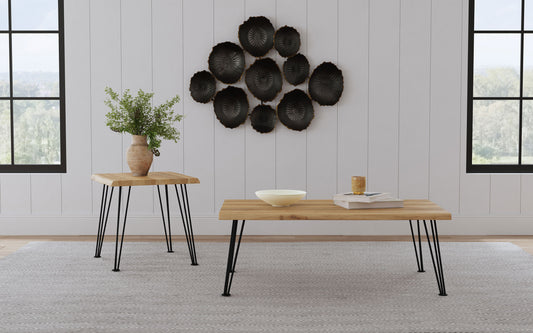 Zander 2-piece Rectangular Coffee and End Table Set Natural