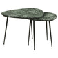 Tobias 2-piece Triangular Marble Top Nesting Table Green